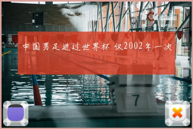 中国男足进过世界杯 仅2002年一次