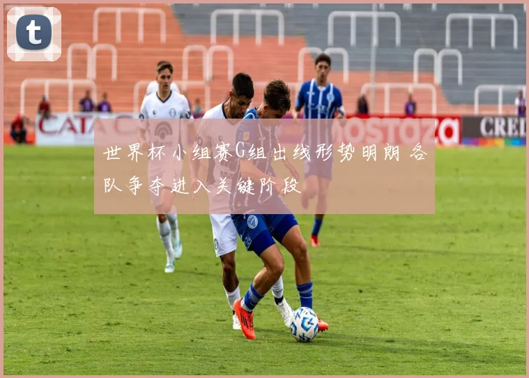 世界杯小组赛G组出线形势明朗 各队争夺进入关键阶段