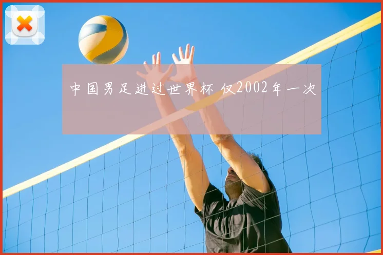 中国男足进过世界杯 仅2002年一次