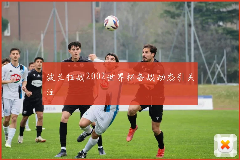 波兰征战2002世界杯备战动态引关注