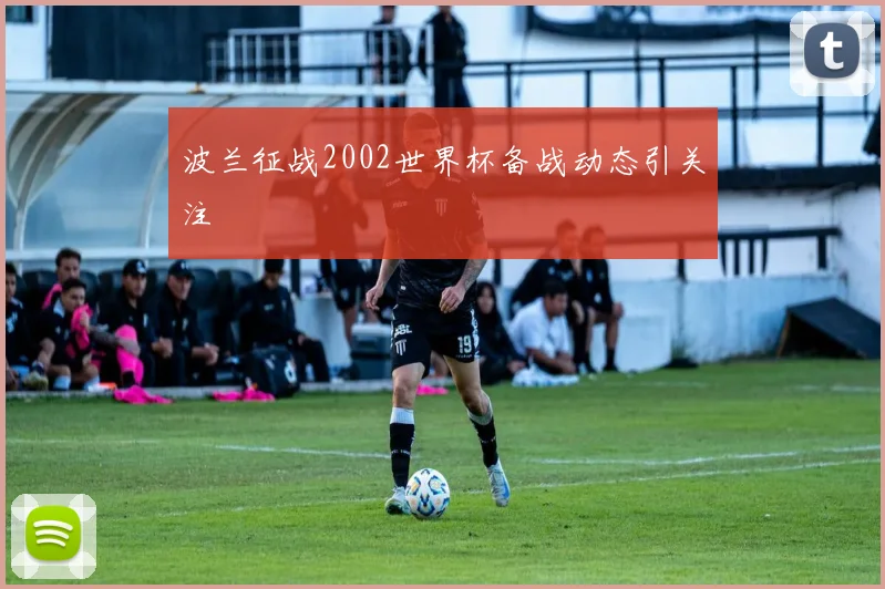 波兰征战2002世界杯备战动态引关注