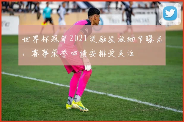 世界杯冠军2021奖励发放细节曝光，赛事荣誉回馈安排受关注