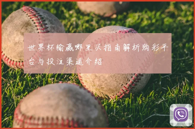 世界杯输赢哪里买指南解析购彩平台与投注渠道介绍