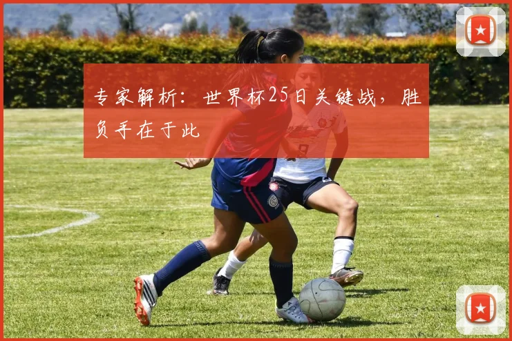 专家解析:世界杯25日关键战,胜负手在于此