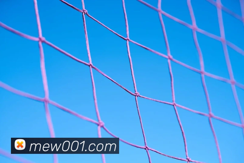 华体官网登录入口手机版APP 封面图